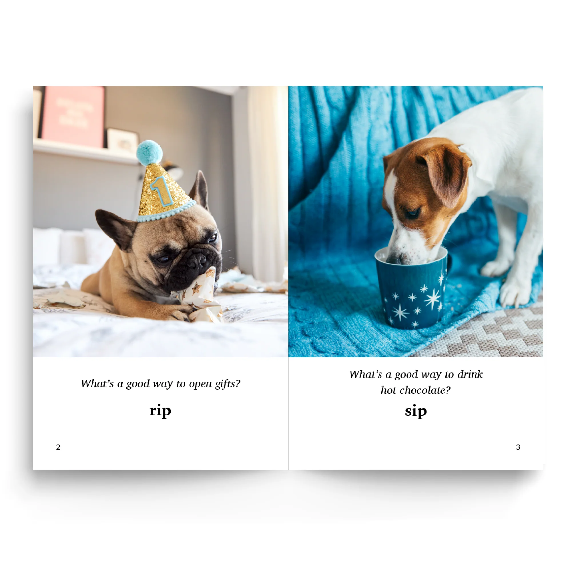 Foundations A Bundle - Image 12